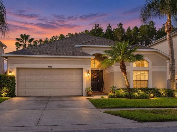 3240 DOWNAN POINT DRIVE, LAND O LAKES, FL 34638