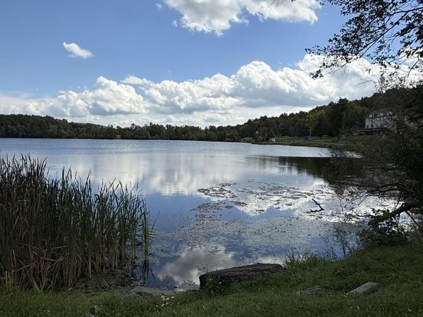 1582 Heart Lake Road, Scott Twp, PA 18433