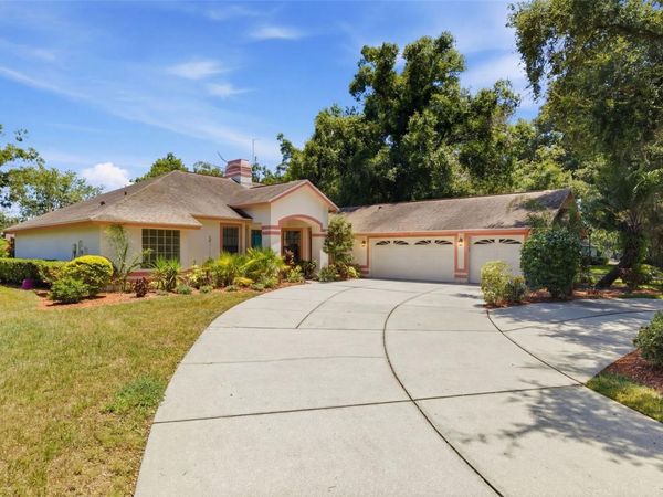 16501 BLENHEIM DRIVE , LUTZ, FL 33549