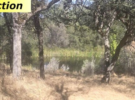10486 To Hell And Back Ln, Rough and Ready, CA 95975 Photo