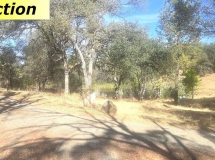 10486 To Hell And Back Ln, Rough and Ready, CA 95975 Photo