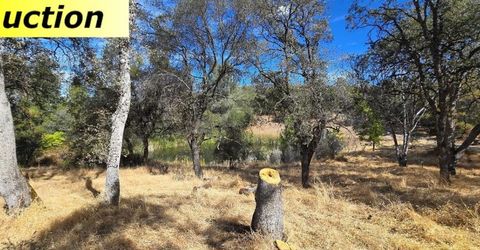10486 To Hell And Back Ln, Rough and Ready, CA 95975 Photo