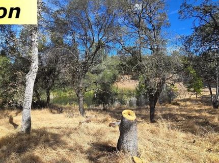 10486 To Hell And Back Ln, Rough and Ready, CA 95975 Photo