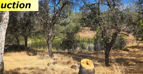 10486 To Hell And Back Ln, Rough and Ready, CA 95975 Photo