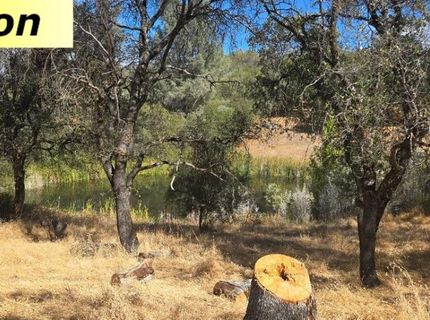 10486 To Hell And Back Ln, Rough and Ready, CA 95975 Photo