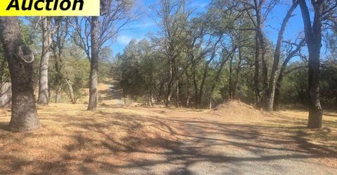 10486 To Hell And Back Ln, Rough and Ready, CA 95975 Photo