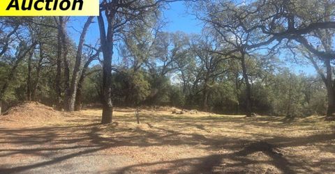 10486 To Hell And Back Ln, Rough and Ready, CA 95975 Photo
