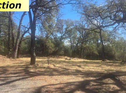 10486 To Hell And Back Ln, Rough and Ready, CA 95975 Photo
