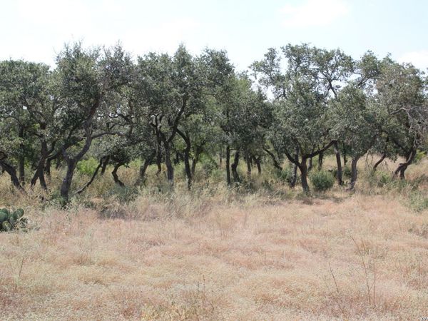TBD Stone Loop, Castroville, TX 78009