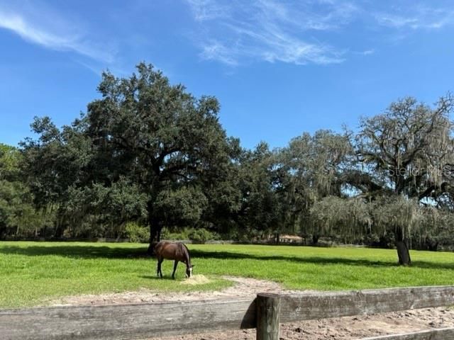 12550 SW 16th Avenue, Ocala, FL 34473 Photo