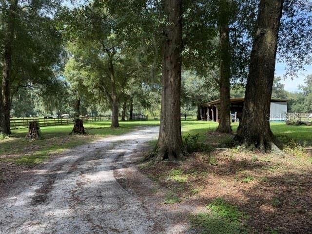 12550 SW 16th Avenue, Ocala, FL 34473 Photo