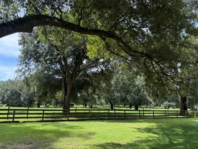 12550 SW 16th Avenue, Ocala, FL 34473 Photo