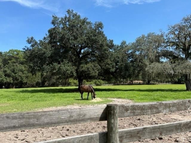 12550 SW 16th Avenue, Ocala, FL 34473 Photo