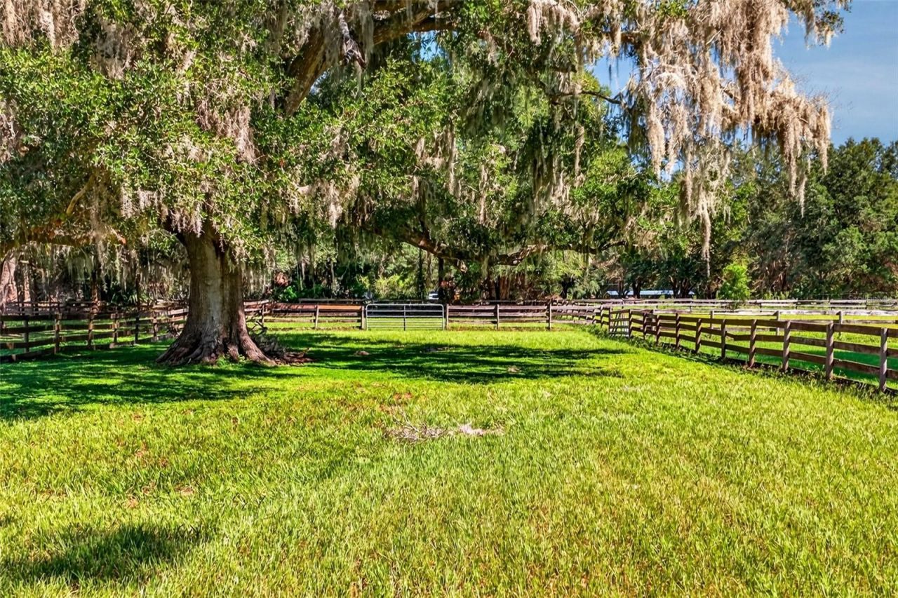 12550 SW 16th Avenue, Ocala, FL 34473 Photo