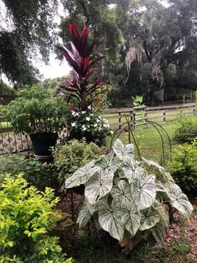 12550 SW 16th Avenue, Ocala, FL 34473 Photo