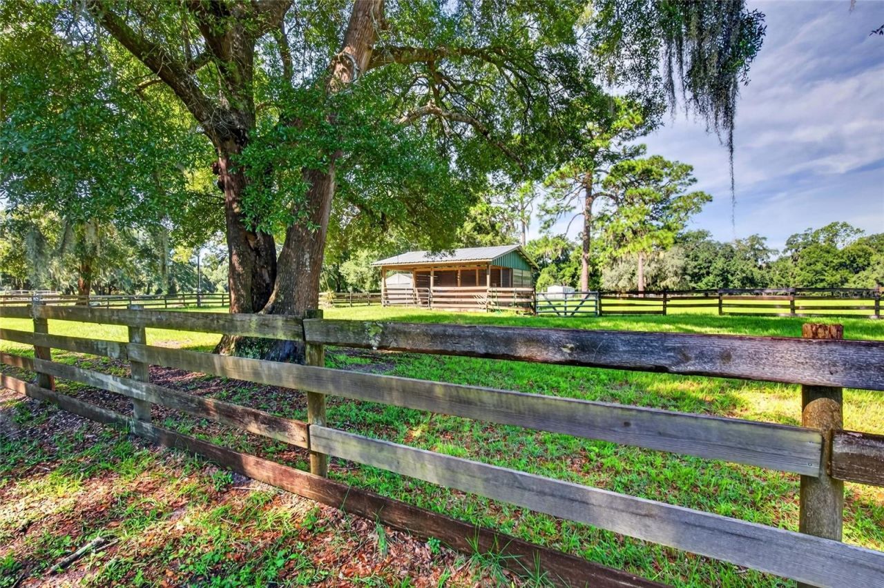 12550 SW 16th Avenue, Ocala, FL 34473 Photo