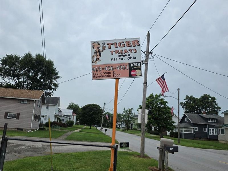 503 N Main Street, Attica, OH 44807 Photo 2