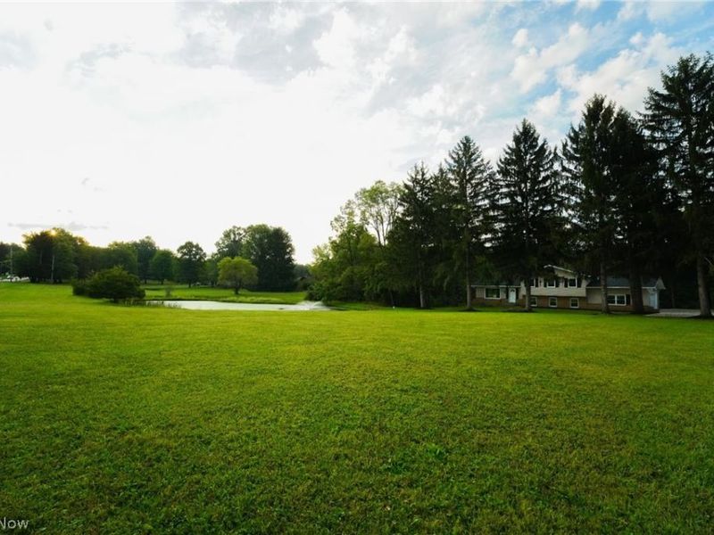 3954 Remsen Road, Medina, OH 44256 Photo 28