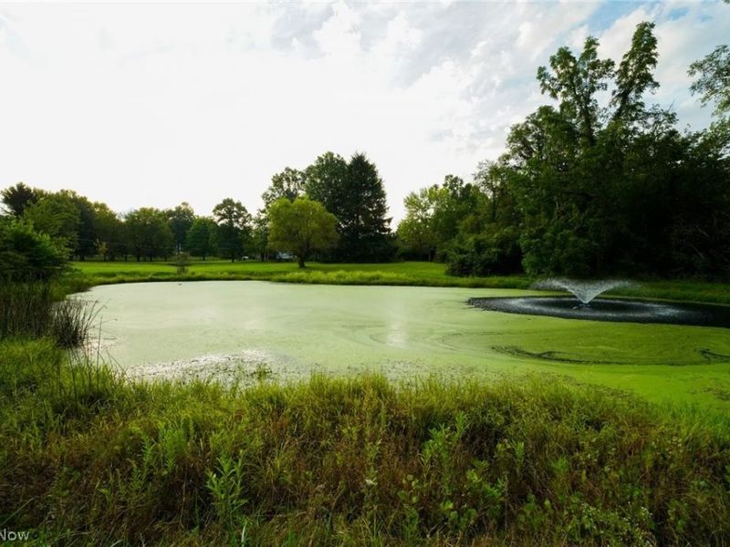 3954 Remsen Road, Medina, OH 44256 Photo 29