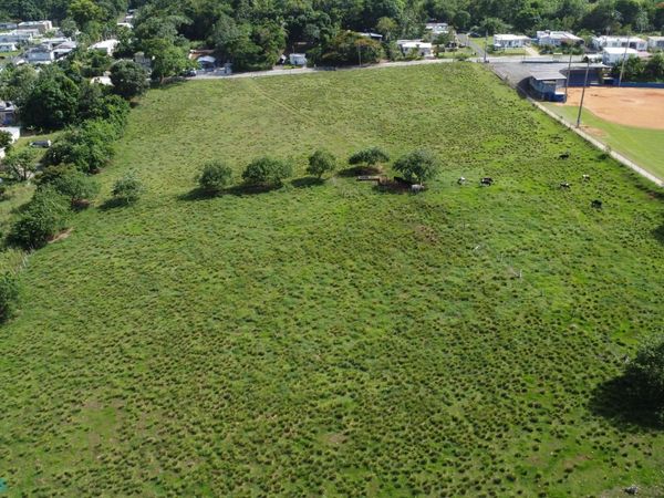 B CARR. SR 4488, Unit 4.3 km, Camuy, PR 00627