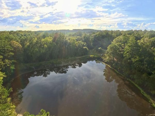 71 Acres Pouncey Drive, Florala, AL 36442