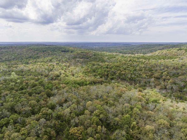 0000 Buck Ridge Lane, Williford, AR 72482