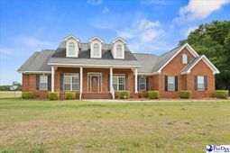 2818 Gray Dr photo 4