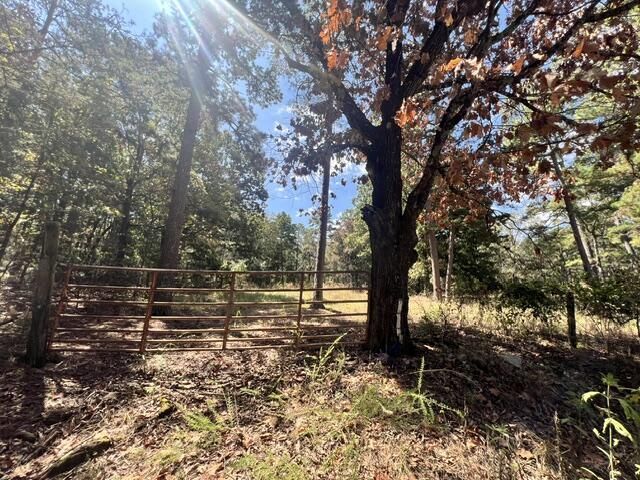 E Red Barn Rd, Cave City, AR 72521 Main Photo