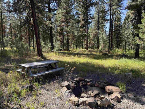 3177 Timber Ridge Drive, New Meadows, ID 83654
