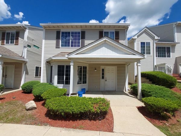 369 SPRINGMIST Court , Unit 369, Bolingbrook, IL 60440