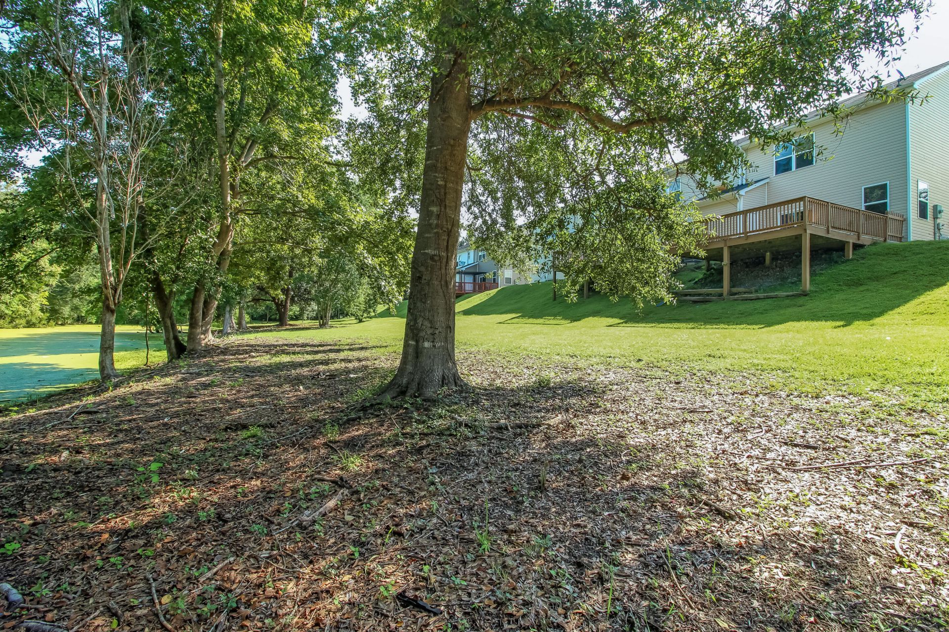 9073 Parlor Drive Photo 30