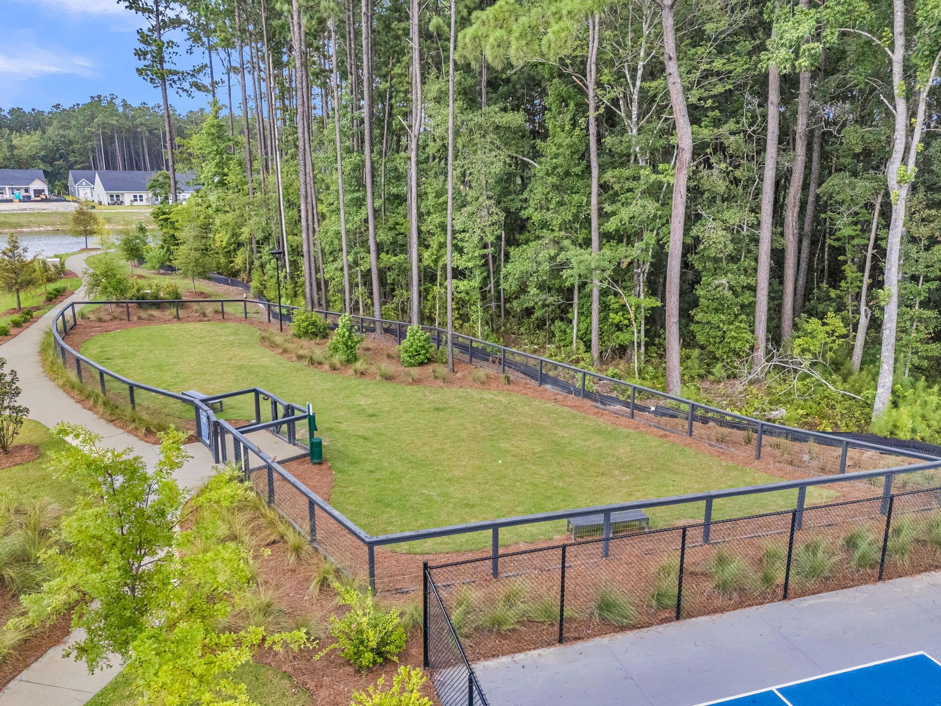 1045 Dusk Drive Photo 38