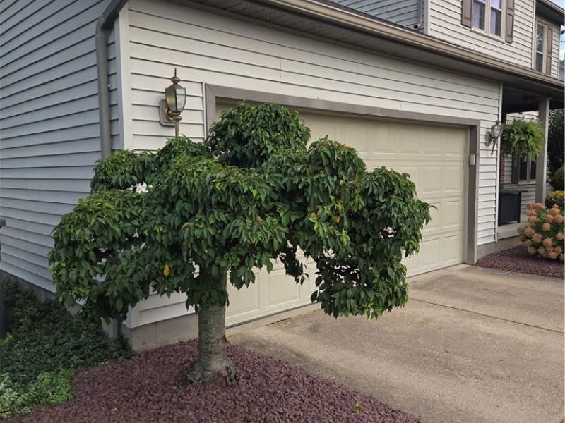 39 Morningview Circle, Canfield, OH 44406 Photo 2