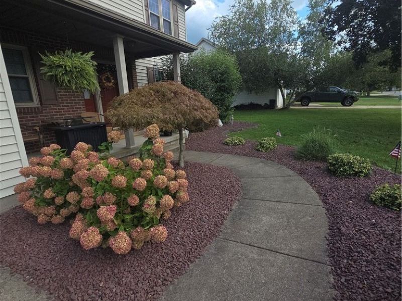 39 Morningview Circle, Canfield, OH 44406 Photo 4
