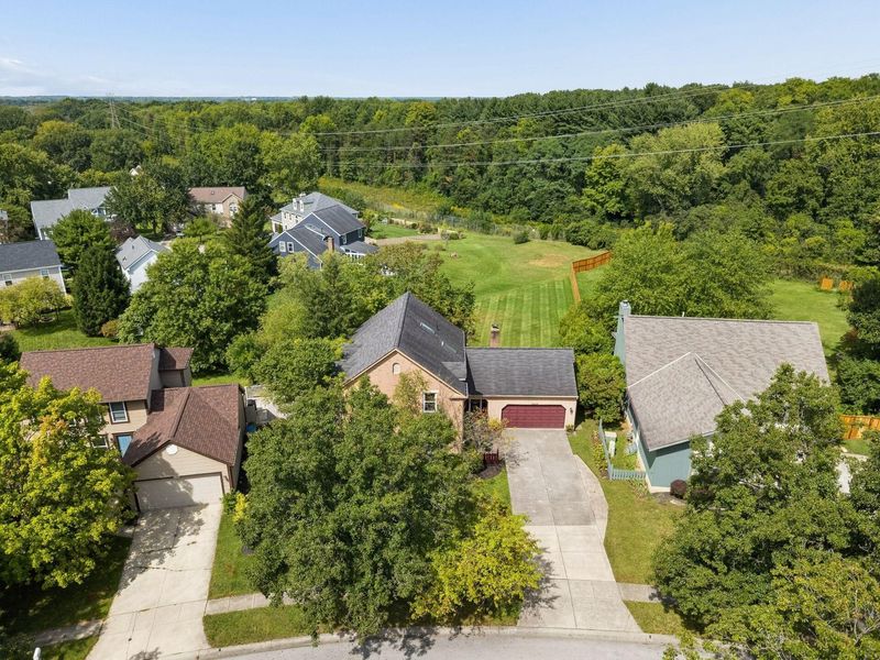 5428 Flat Head Court, Columbus, OH 43230 Photo 34