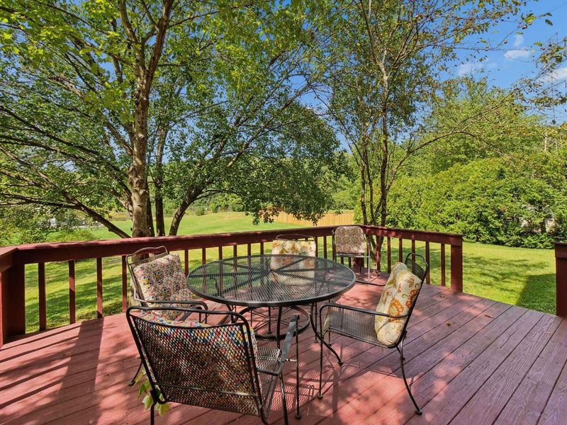 5428 Flat Head Court, Columbus, OH 43230 Photo 48