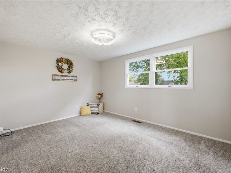 4845 New Road, Austintown, OH 44515 Photo 14