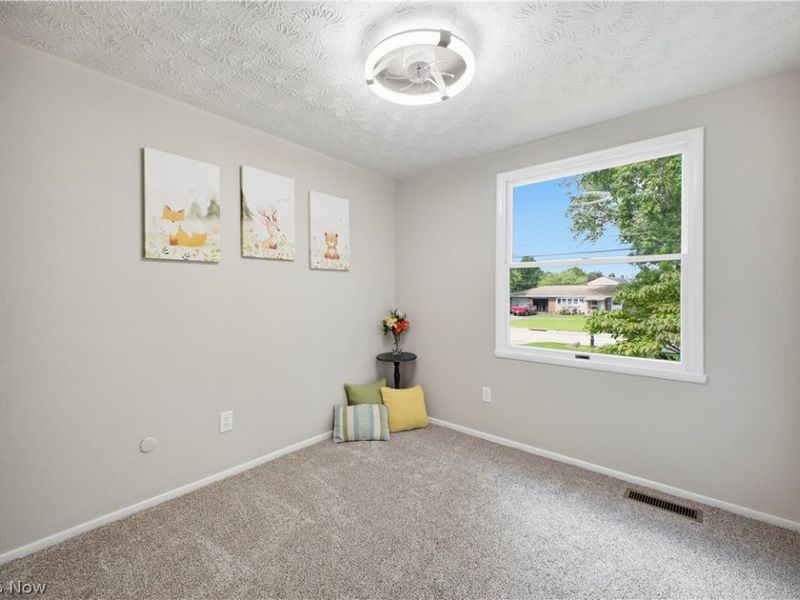 4845 New Road, Austintown, OH 44515 Photo 17