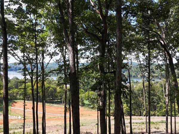 137 Eagles Crest Court, Loudon, TN 37774