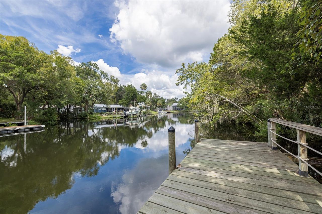 11772 N River Sound Path, Inglis, FL 34449 Photo
