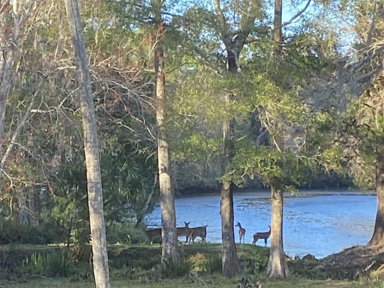 11772 N River Sound Path, Inglis, FL 34449 Photo
