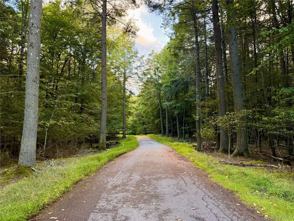 Orange Avenue , Smallwood, NY 12778