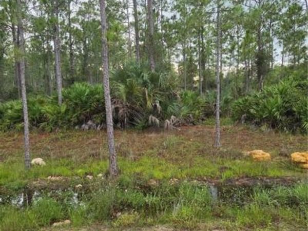 2311 Truman AVE, ALVA, FL 33920