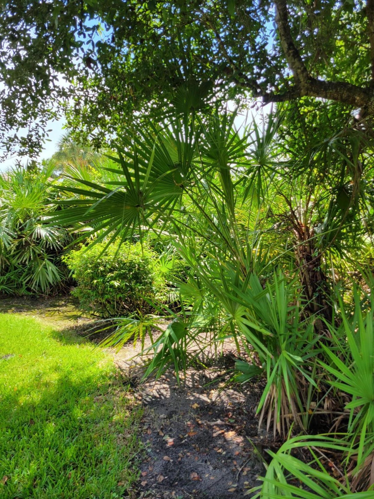 7073 Torrey Pines Circle, Port Saint Lucie, FL 34986 Photo