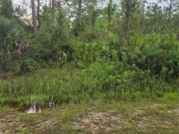 2303 Truman AVE , ALVA, FL 33920