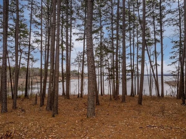 3195 Brownsville , Greers Ferry, AR 72067