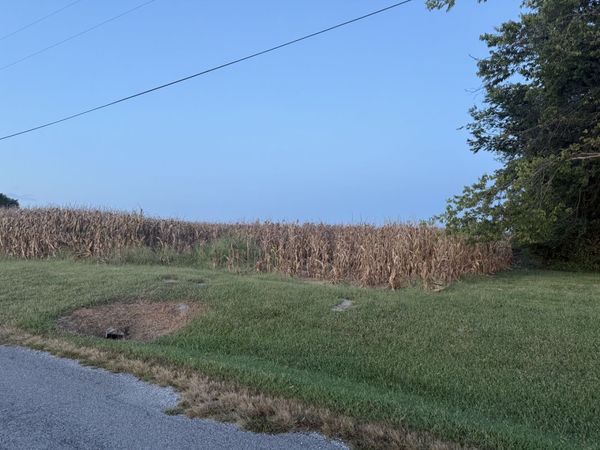000 Coffee Road, Raleigh, IL 62977