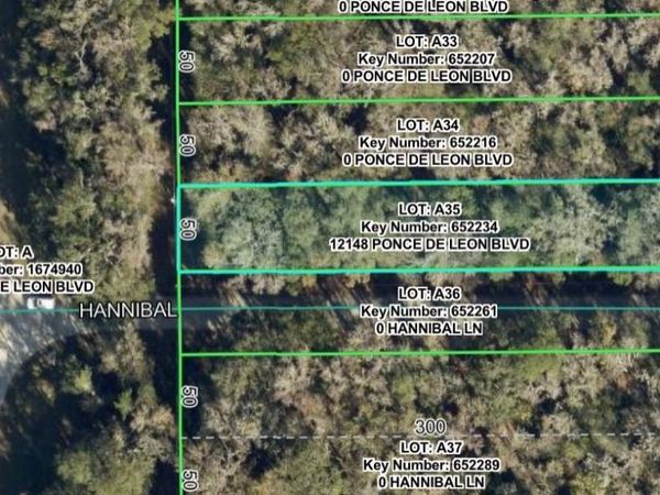 12148 PONCE DE LEON BOULEVARD , BROOKSVILLE, FL 34601
