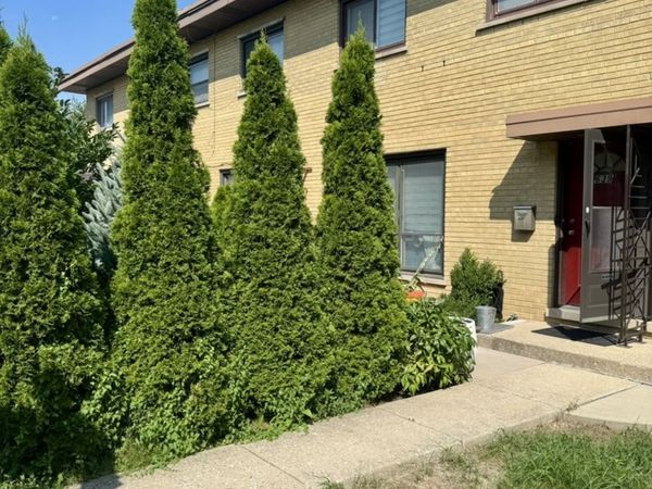639 Maple Court, Mount Prospect, IL 60056