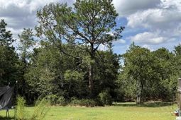 180 Crystal Springs Road  photo 4